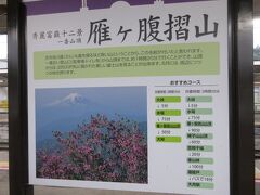 大月駅で「ビュー山梨」に乗り換え
昔の東海道線で走っていた２階建て電車です。
去年行った雁ヶ腹摺山の案内が大月駅のホームにありました。