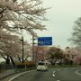 行ってきました！念願の北上展勝地☆＾▽＾☆