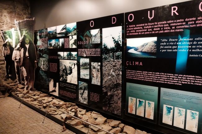 いきなり演奏があるのかと思ったっらワイン蔵の説明。<br />係員がフランス語と英語で行うが、どっちがいいか？<br />「ジャパニーズオンリー(笑)」といってフランス語のグループについていった。