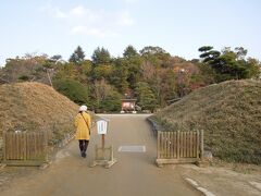 ナビが狭い路地を通らせて、やっとこさ到着した湯築城。
堀を埋めた駐車場に停め、外堀を渡り、写真の土塁の間を入ります。大手門跡かな？