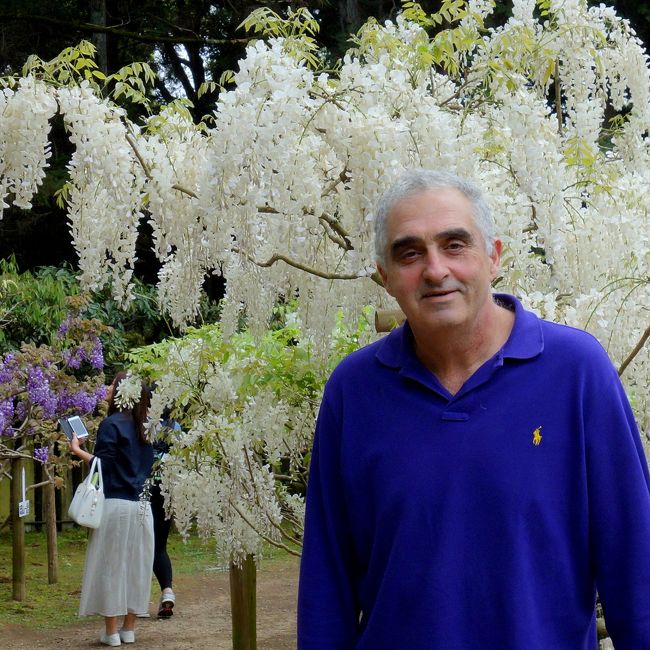 大人の遠足part3 春日大社 萬葉植物園で咲き誇る藤の花にうっとり 奈良市 奈良県 の旅行記 ブログ By Kayoさん フォートラベル