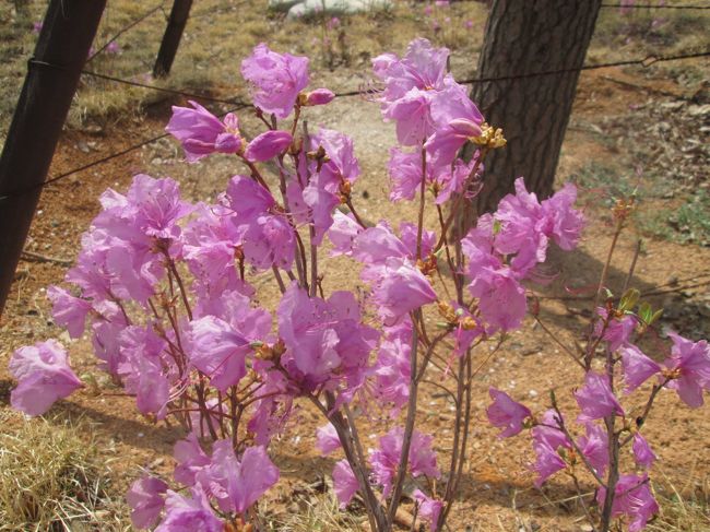 雪岳山小公園内