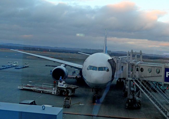 雪雲がひどく強い風が吹き，国内では珍しいくらいに揺れた．20分延着