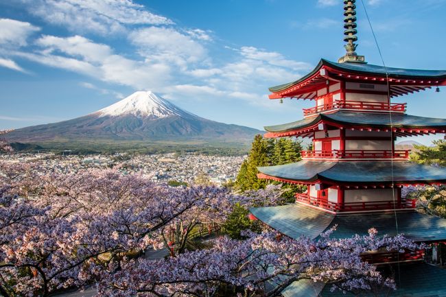 桜と富士山を撮り歩く １ 海外観光客に人気抜群の富士山ビュースポット 富士吉田 山梨県 の旅行記 ブログ By 玄白さん フォートラベル