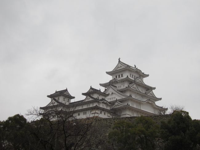 2016年2月 兵庫 1 白くよみがえった白鷺城 白すぎ城 を見に行こう 姫路城 姫路 兵庫県 の旅行記 ブログ By Thierryさん フォートラベル 2016年2月 兵庫 1 白くよみがえった白鷺城 白すぎ城 を見に行こう 姫路城 姫路 兵庫県 の旅行記 ブログ By Thierryさん フォートラベル