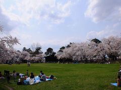 公園では、満開の桜の下、多くの人がお花見中。
なんだか、とても羨ましい。