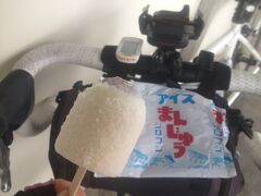 起点の桐生駅まで戻り、桐生名物シロフジのアイスまんじゅうを食べて帰ってきました。