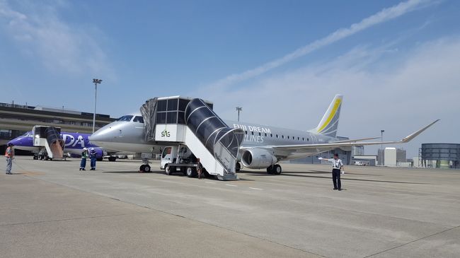 翌朝の便で福岡へ帰ります。<br />シルバーのＦＤＡでした。