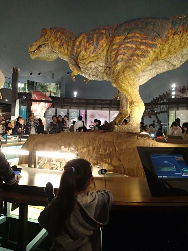 迫力あります！