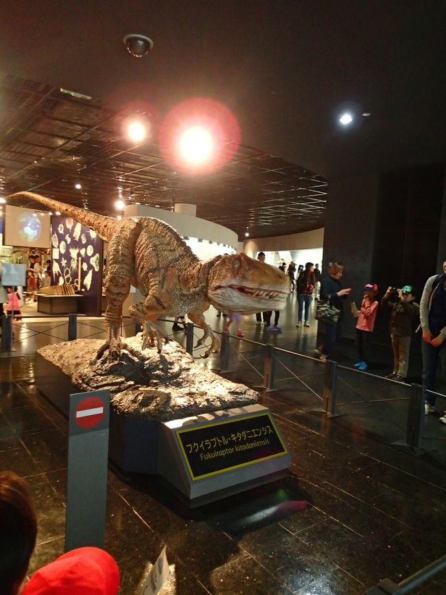 館内には動く恐竜がたくさん