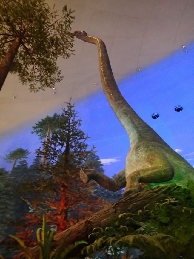 すごーく首の長い恐竜も、草をムシャムシャ食べて動いてます