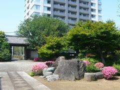 【海蔵寺】

ここもまたバックに高層マンションです。