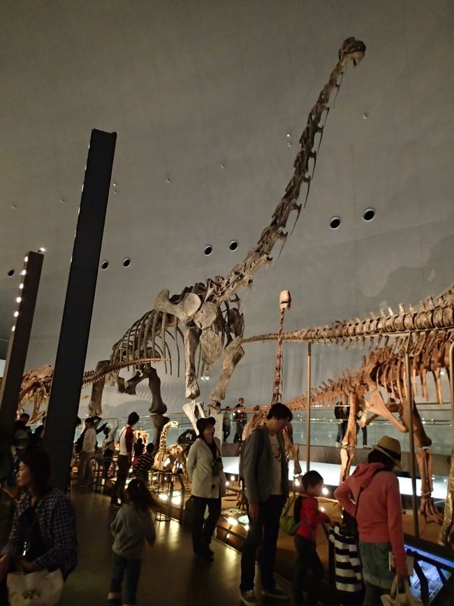 次女（４歳）「キリンさーん」