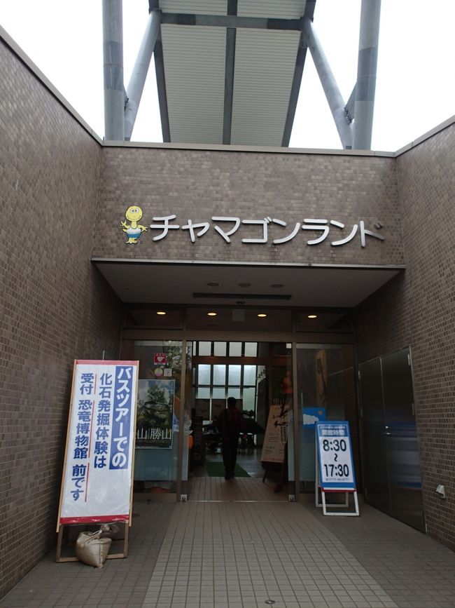 午後は化石発掘体験に参加