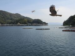 天の橋立から路線バスで伊根に行きました。
55分で日出地区の伊根湾巡り遊覧船乗り場に到着して、
4分の待ち合わせでチケットを買って乗船しました。
事前にバスの運転手に乗船したいと言って、
運転手から連絡してもらいました。