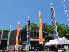 長瀞駅から無聊送迎バスでロープウェーの山麓駅まで。１キロ少々の距離ですが、上り坂が続くので、送迎バスは楽でした。