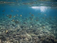 また来ましたよ〜！！！
真栄田岬の素晴らしさは健在！当たり前！