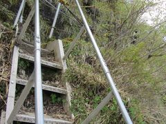さて、こちらのルート、山頂直下からかなりの急登が続く。
あまりに傾斜がきつすぎて、梯子に近い階段がいくつも出現する。
普通に歩けば大丈夫だが、下りはザックが引っ掛からないように注意。