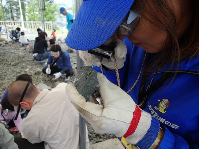 すると係りの人は「ちょっとお待ちください」と言い残し、化石を持ってどこかへ行ってしまった･･･