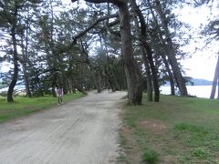 天の橋立を歩くと1時間、
自転車だと早いが、バスで天の橋立駅まで行って天の橋立を観光するのと、
傘松ケーブル下で降りて歩いて天の橋立駅に行くのと
では、殆ど変わらないので、歩くことにしました。