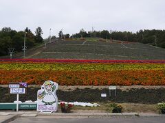 ファーム富田からすぐのところにある町営ラベンダー園。