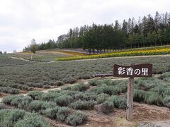 彩香の里。ラベンダーの時期が終わると少し寂しいが花畑がひろがる。