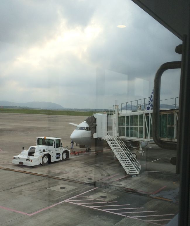 荷物を座席上の棚に入れたかったので、優先搭乗で機内に。<br /><br />こういう時優先搭乗は便利ですね。特に沖縄便は持ち込み荷物が多いですから、すぐ棚がいっぱいになってしまいますし。<br />