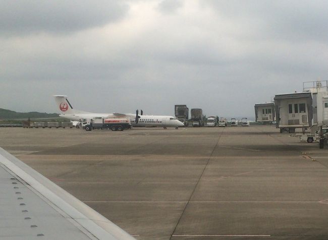 横を見ると、RACの新型機が。<br /><br />後ろ半分が貨物室になっているなっています。従来機よりも荷物を多く運べるので、離島の魚をたくさん運べるようになったようです。<br /><br />行き先は与那国だと思います。また、行きたいですね。<br />