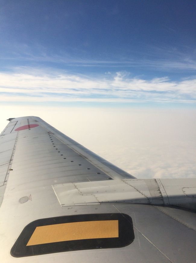 座席は非常口座席なので翼がすぐ横にありました。<br /><br />離陸後すぐ雲の上に。<br />