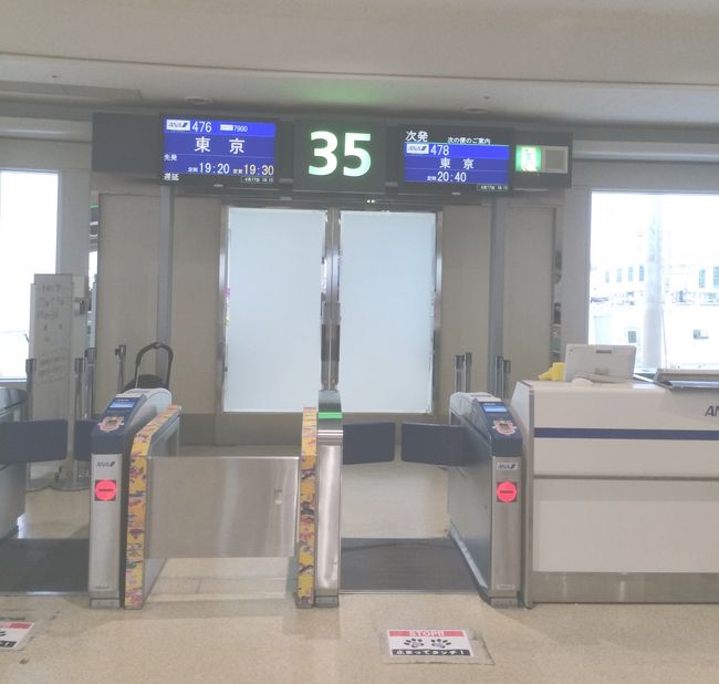 那覇までは順調だったのですが、那覇の空港に着いたら様子がおかしい。東京便が軒並み遅延していました。<br /><br />まだ、前の便（18：20発）が出発できていませんでした。<br />どうやら、東京地方は昼間強風が吹いていて飛行機の着陸が出来なかったようです。<br />それら便が遅れて着陸しているため、出発便に遅れが出ているようです。<br /><br />私の乗る便は、この時点では10分遅れの19時30分発になっていました。<br />