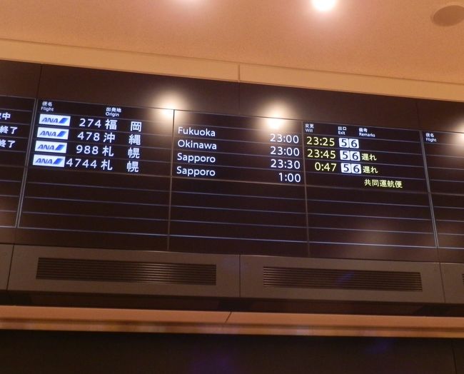 次の沖縄からの便は45分遅れのようです。<br /><br />この人の沖縄からの便で、私の乗る便が一番遅れたようです。<br /><br />札幌からの988便は0時47分着。定刻なら終電に間に合う時間ですが、これだと帰れない人が続出ですね。<br />