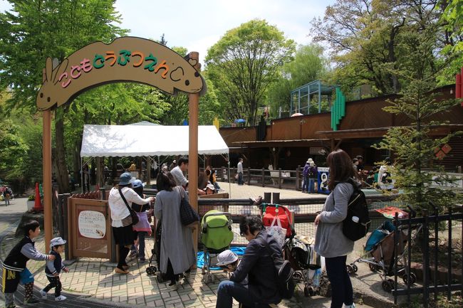 12時40分、こども動物園へ<br /><br />本日はこういうところは混むと分かっていましたが、まだランチ時ですし、モルモットのふれあいタイムも休憩中を狙いましたし、目当ての子たちは、チビッ子や親子連れが群がることはあっても、そんなに長時間いる子はいないので、見学できるまで行列ができることはないだろうと予測しました。<br />そして、そのとおりでした。<br />