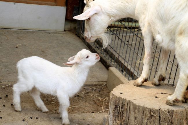 ママと対話中！？