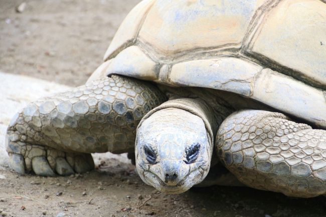 にっこり笑っているみたい@