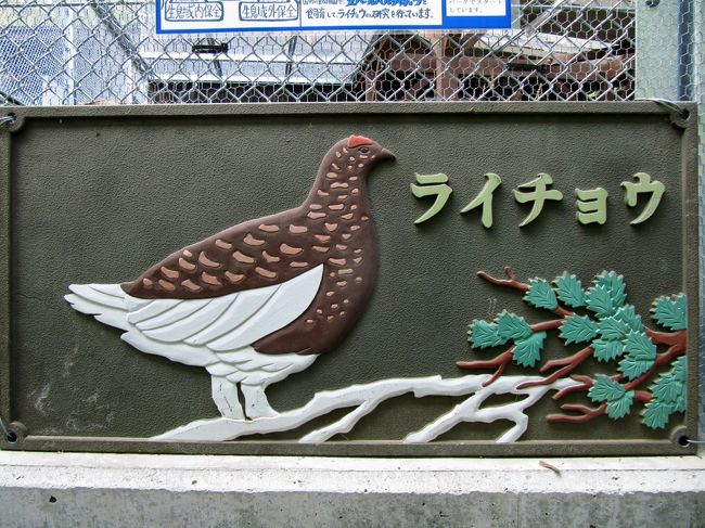 とてもよく出来たライチョウの浮彫看板<br /><br />本日はライチョウのことをここでしっかり学習しようと思いました。<br />