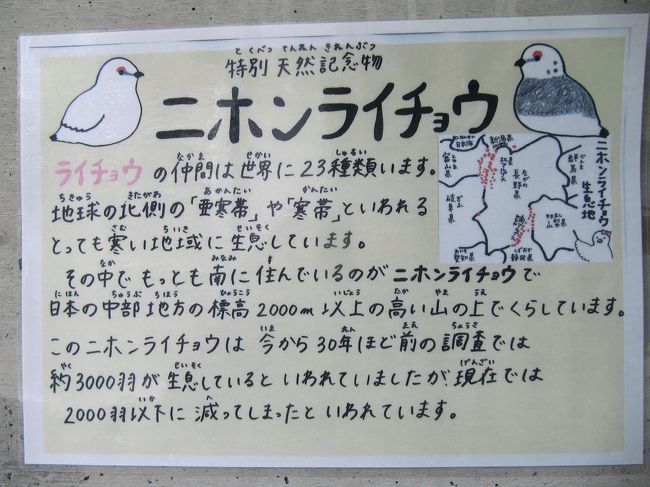 まずはニホンライチョウについての簡単な説明