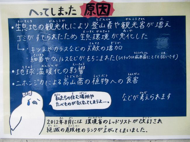 ライチョウが減ってしまった原因<br /><br />この他に、NHK「ダーウィンが来た」で見たのですが、ライチョウは長らく天敵がいない環境で暮らしていたので警戒心が低いことも、原因に挙げられていました。<br />