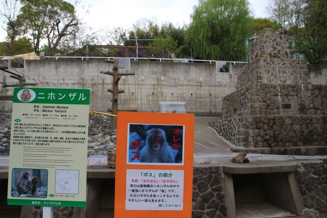 オレがボスだと言われても……<br /><br />どの子がボスか見分けがつきませんでした（苦笑）。<br />