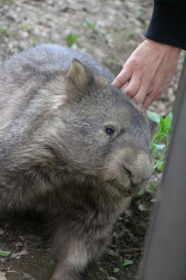 気持ち良さそうにうっとりしていたスミレちゃん