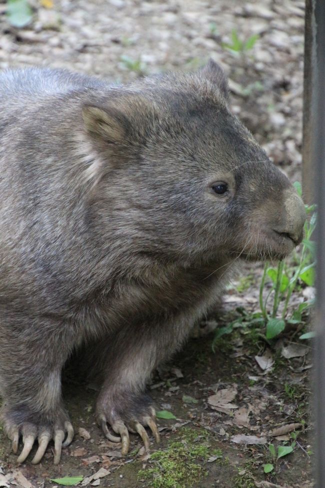 「もう終わりなの？」ってかんじかな（笑）
