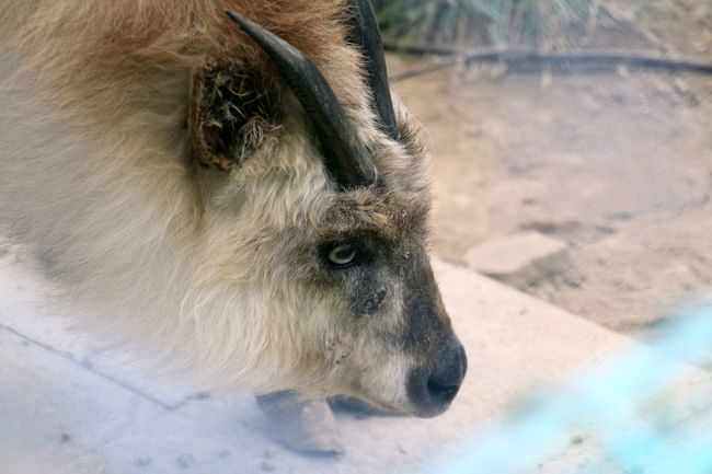 おばちゃんも夕食中だったけど、もうほとんど食べ終わったかな