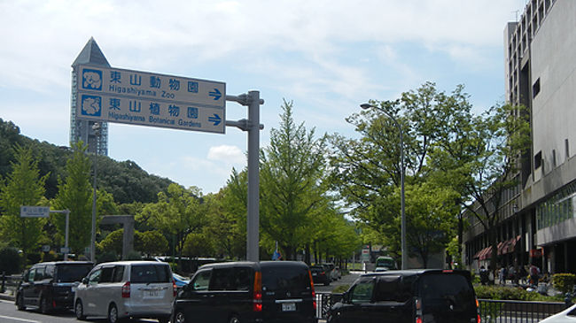 金の鯱名古屋城とイケメンゴリラの東山動物園へ 弾丸近畿旅行1泊2日 1日目 名古屋 愛知県 の旅行記 ブログ By Yama555さん フォートラベル 金の鯱名古屋城とイケメンゴリラの東山動物園へ 弾丸近畿旅行1泊2日 1日目 名古屋 愛知県 の旅行記 ブログ By Yama555さん フォートラベル