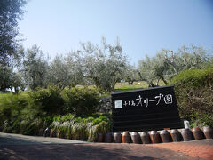 つづいて、『オリーブ園』へ行きました。日本で初めてオリーブ栽培を始めた『オリーブ園』と『道の駅 オリーブ公園』は隣同士です。