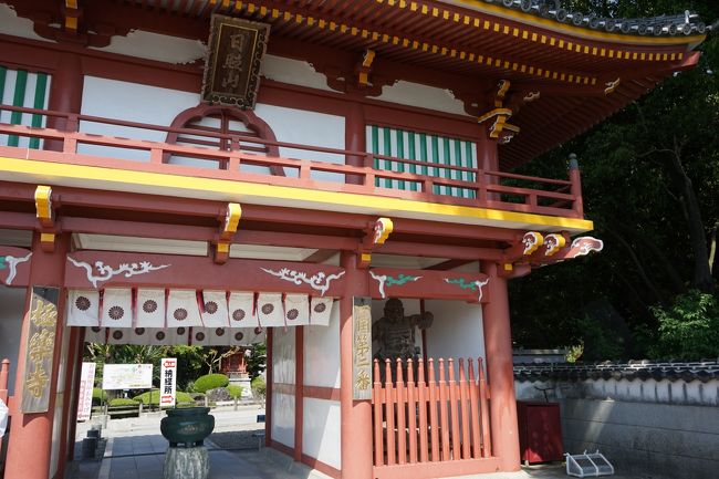 確認用追加画像四国霊場明治時代稀少レア阿波淡路國蔵出第1