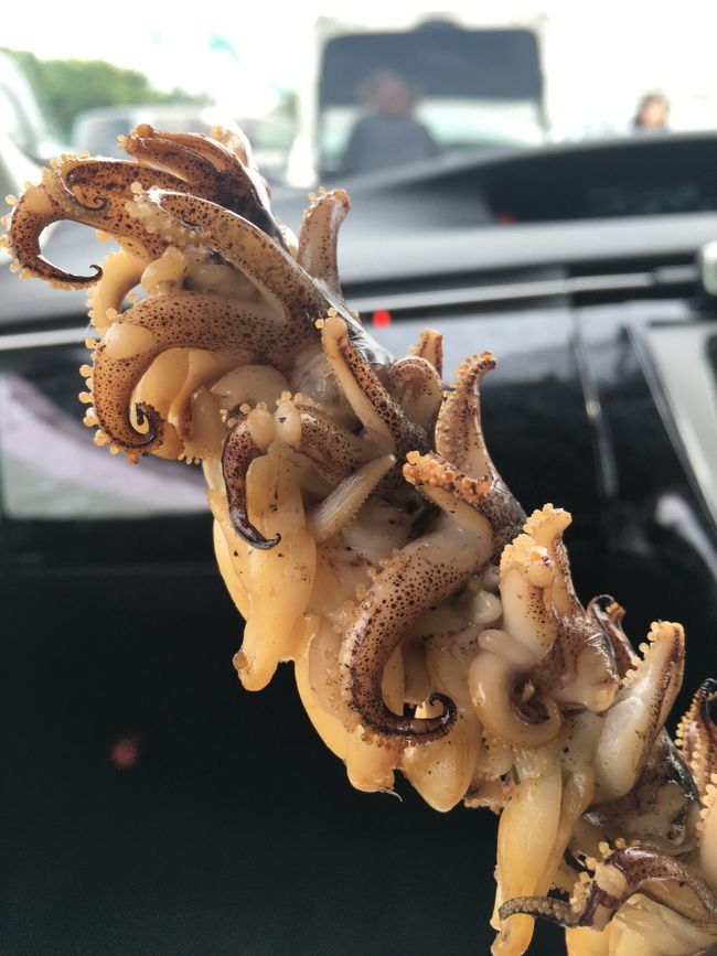 【1日目 昼食】<br /><br />今日は、ほぼ移動で終わってしまうので、移動しながらの食事♪<br /><br />とにかく好きなものを少しずつ食べられるので、それはそれで楽しいです！<br /><br />そして、今日1番目のお目当は！<br /><br />ヤリイカのゲソ焼き（￣+ー￣）<br />1本500円という、お祭り並みの金額ですが、少し旦那様に取られるのを計算し、2本購入(^_^)<br /><br />うん！美味しい！！