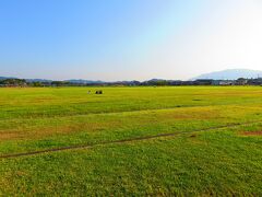 車ですぐの藤原宮跡。

すんごい広大な土地。