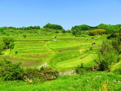 迷った挙句に到着した稲渕の棚田。

田植え前で田んぼを耕してました。