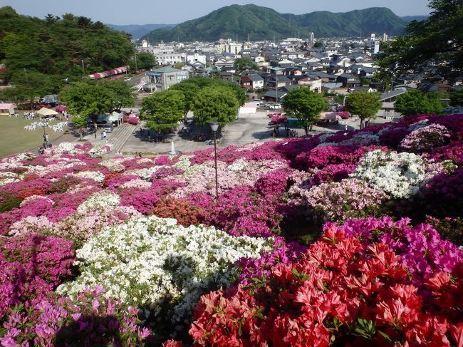 公園を埋め尽くすつつじ。ちょうど去年の今頃いった東藻琴の芝桜公園を思い出しました。