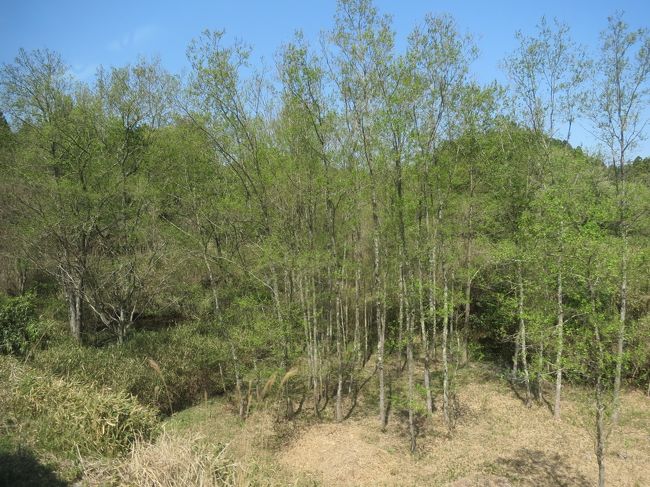 『乗り鉄中毒の猛威！紀伊半島から能登半島縦断 5泊6日の旅 ⑥ （3日目・中編） 『ご先祖様を訪ねて…チョッと寄り道 【信楽高原鐵道】』』信楽