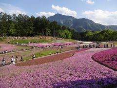 最後はバスツアー等で有名な秩父『羊山の芝桜』、1度は来たいと思っていました。
